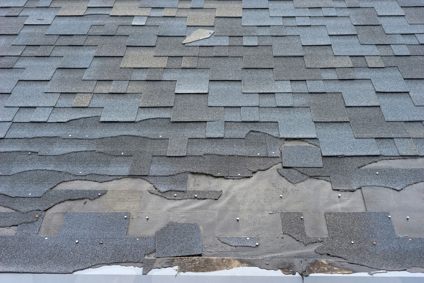 The Top 5 Things Your Roof Would Say to You If It Could Speak