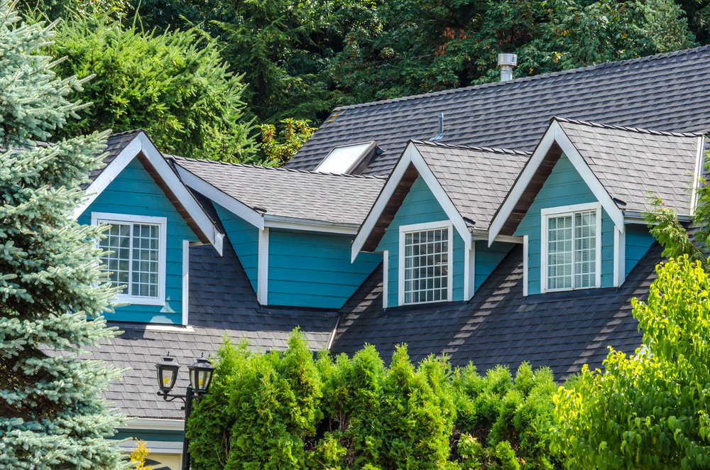 Common Roofing Issues Faced By Homeowners